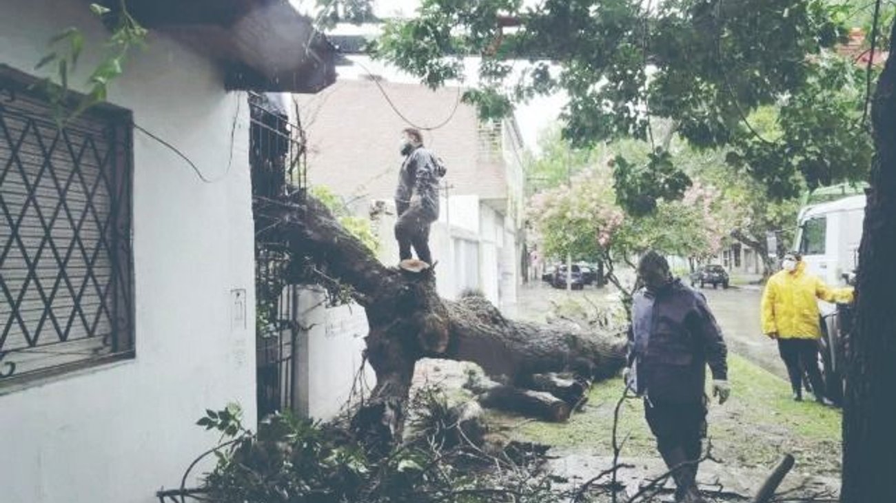 Whats_App_Image_2025_09_16_at_11_20_40_PM_cfd5e291ef