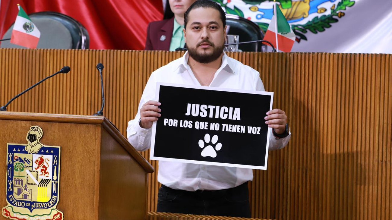 Buscan hasta 12 años de prisión por maltrato animal