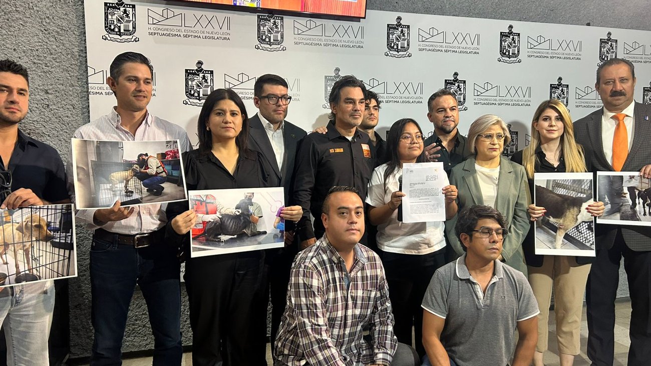 Whats_App_Image_2025_09_17_at_7_42_06_PM_556a65400d