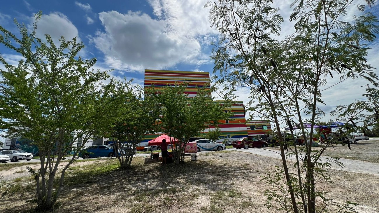 Autoridades reforestan el Parque Cultural de Reynosa