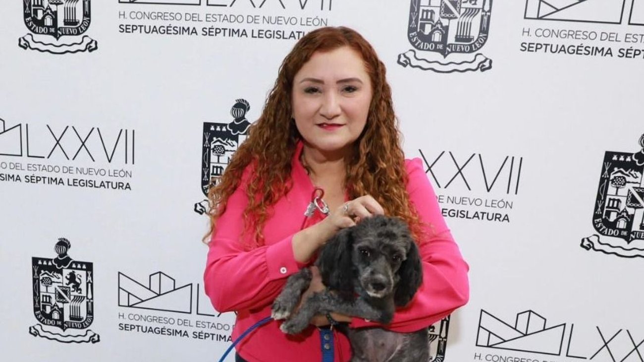 PAN propone portal estatal de protección y bienestar animal en NL