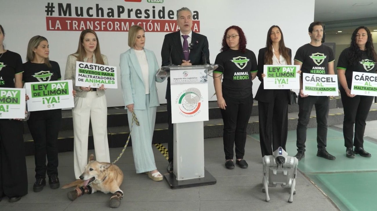 Whats_App_Image_2025_10_01_at_6_55_24_PM_f32a91f55e