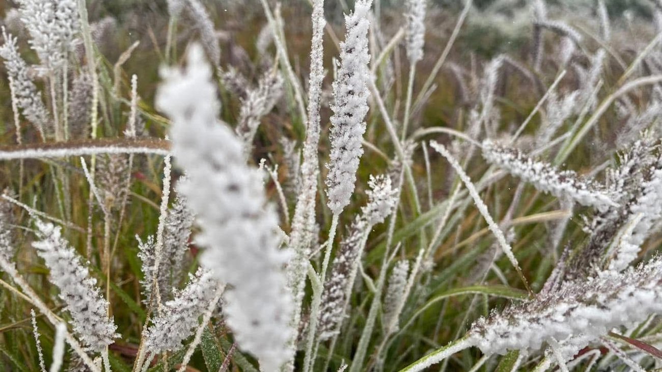 Whats_App_Image_2025_10_05_at_5_31_14_PM_1_56fe19c3ba