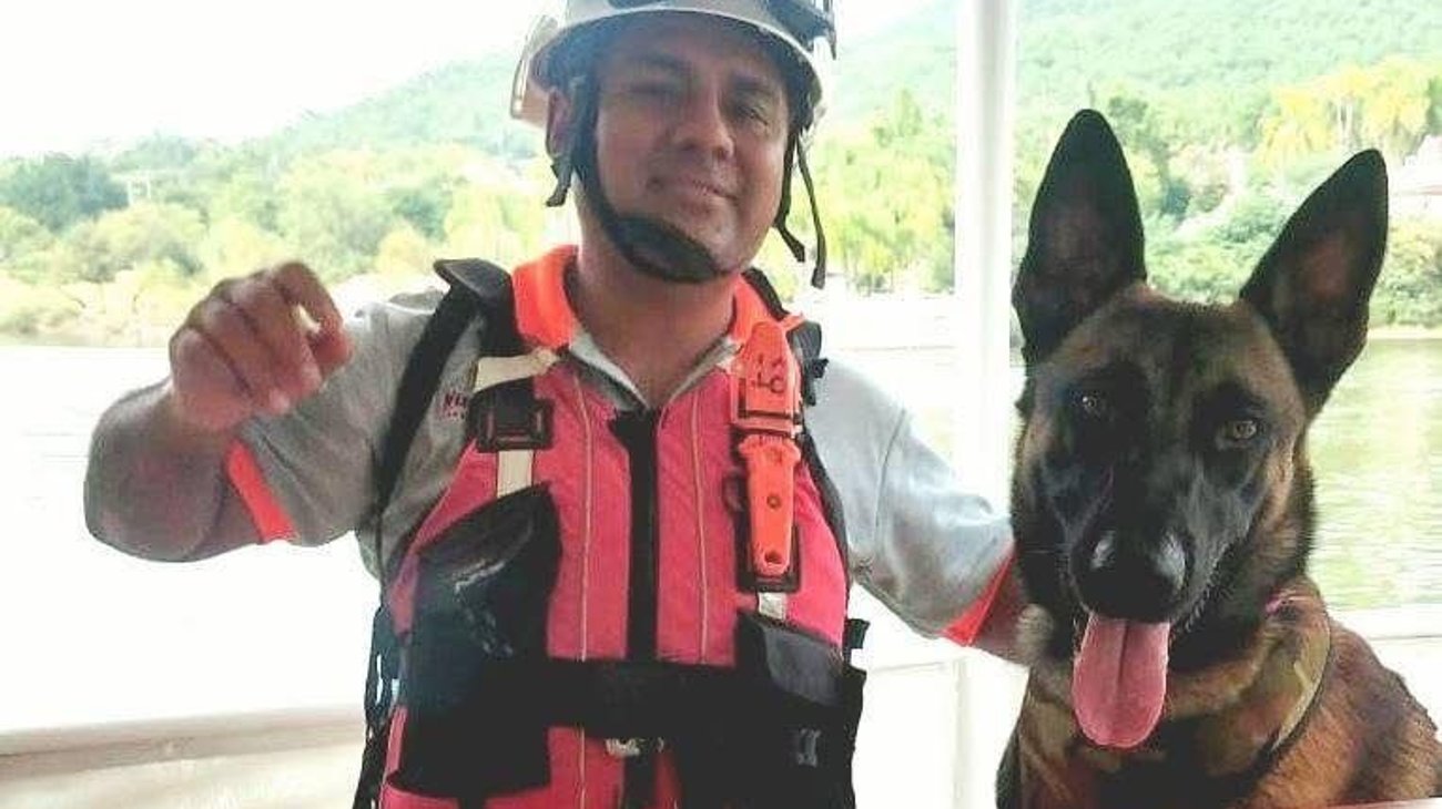 ¡Vuela Alto, Odin! Muere perro rescatista de Protección Civil