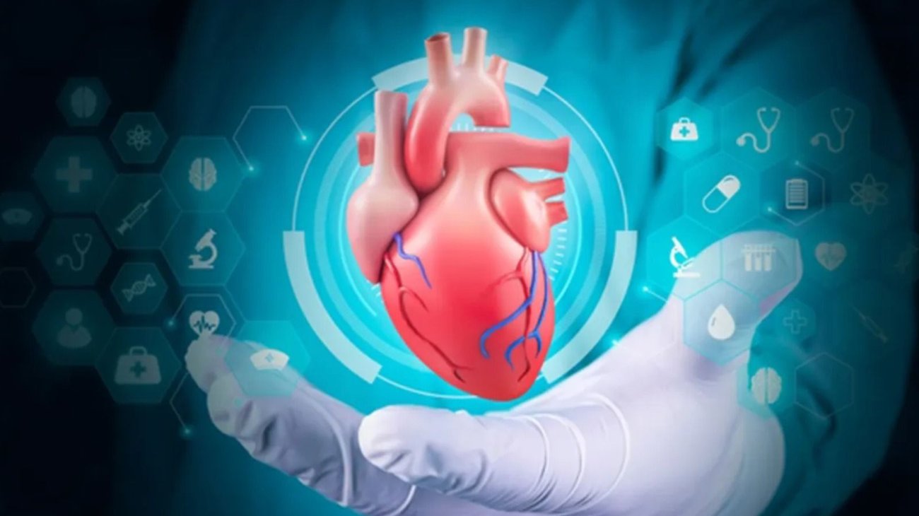 Whats_App_Image_2025_10_10_at_2_11_21_PM_73d1e0ff70