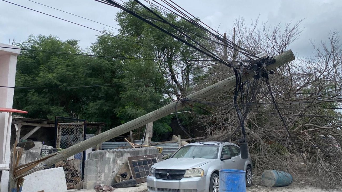 Árbol seco tira postes y cables en la López Portillo de Reynosa