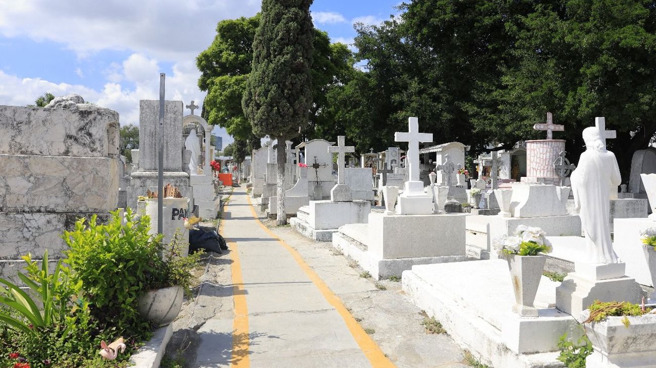 Whats_App_Image_2025_10_17_at_3_54_12_PM_1_dd6a3c274f