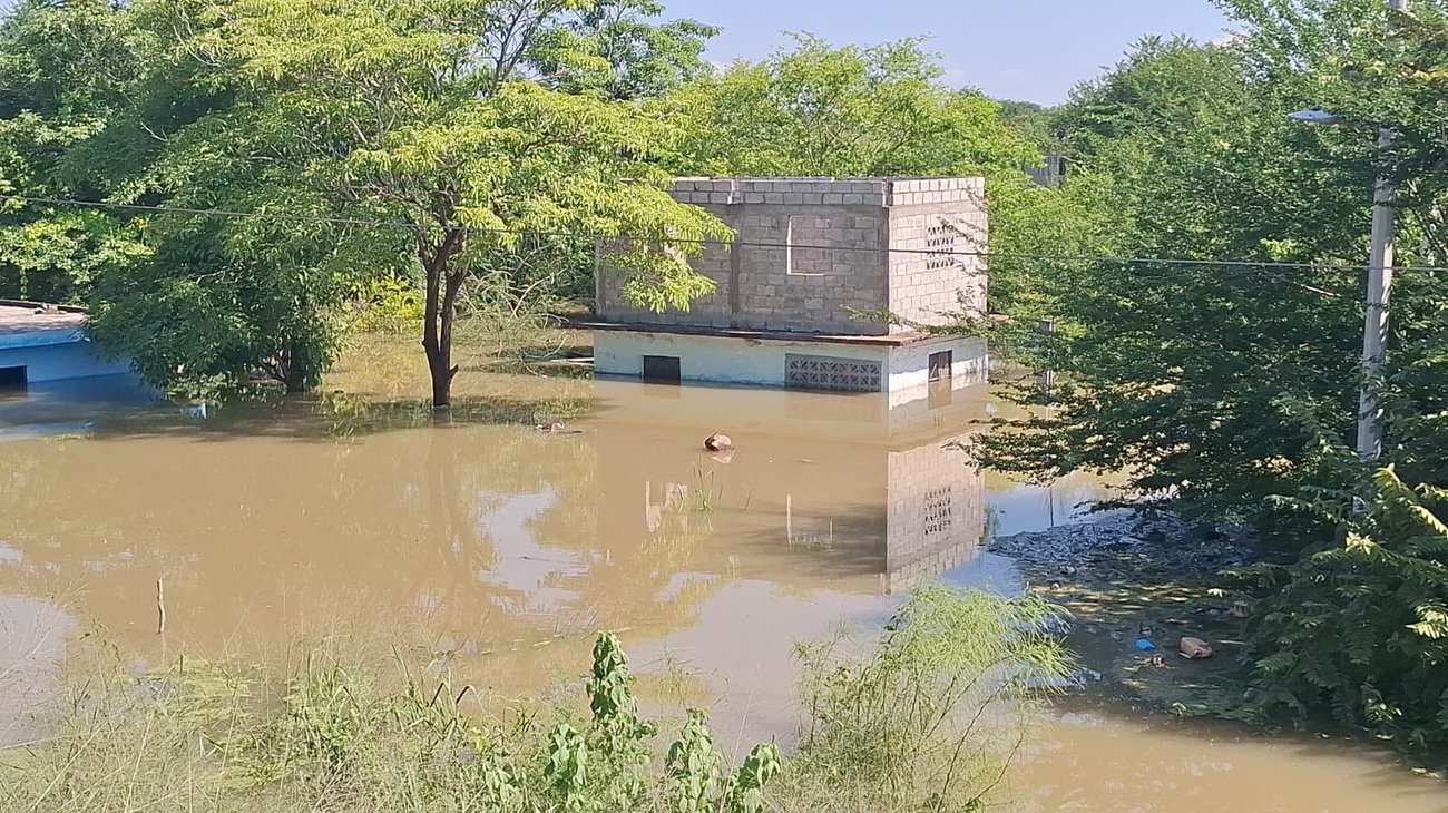 Whats_App_Image_2025_10_17_at_6_56_08_PM_8cdce92ebf