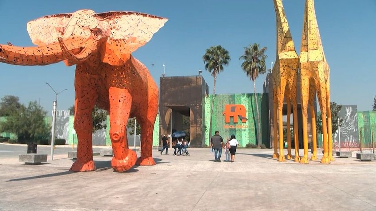 Whats_App_Image_2025_10_18_at_5_07_09_PM_a942df0259