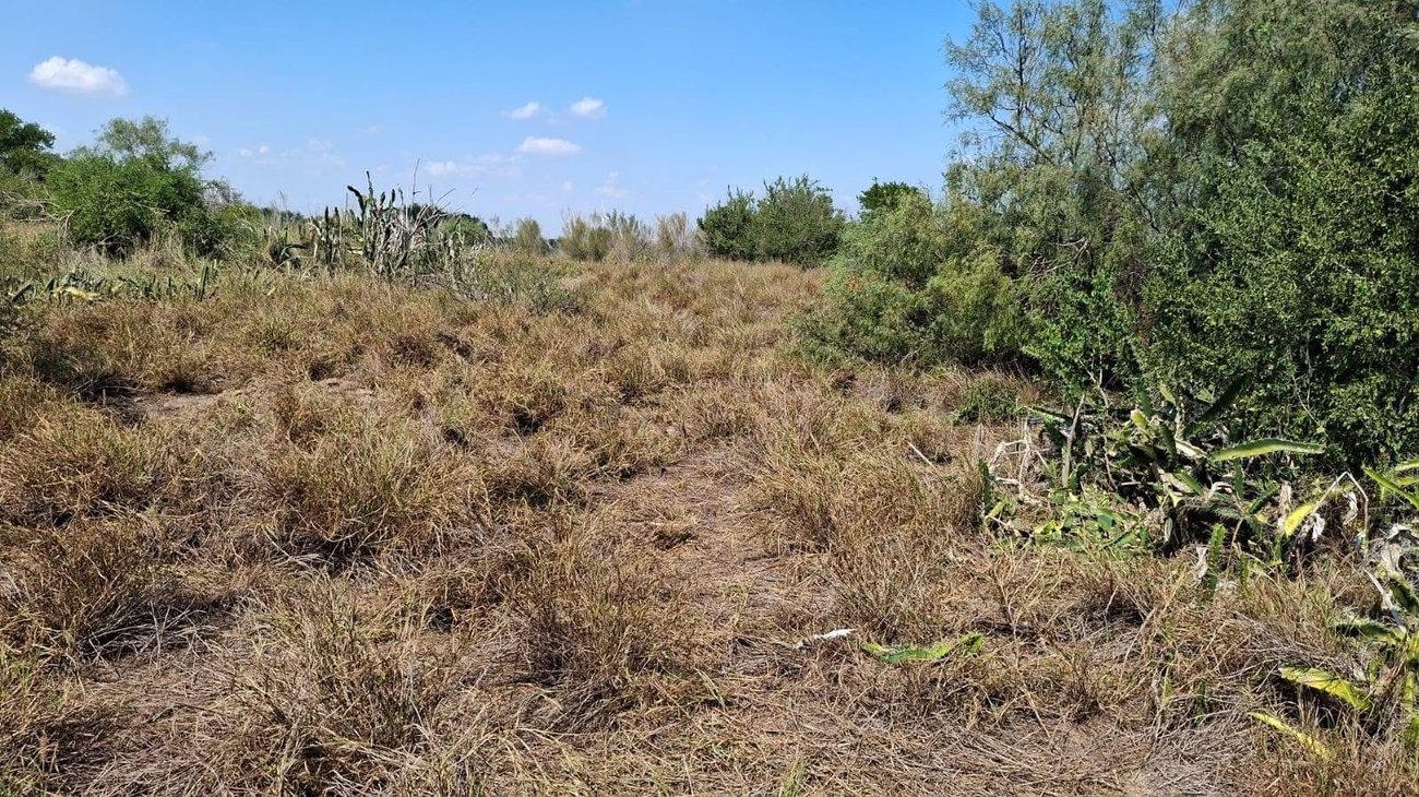 Localizan nuevo cementerio clandestino en ejido de Reynosa