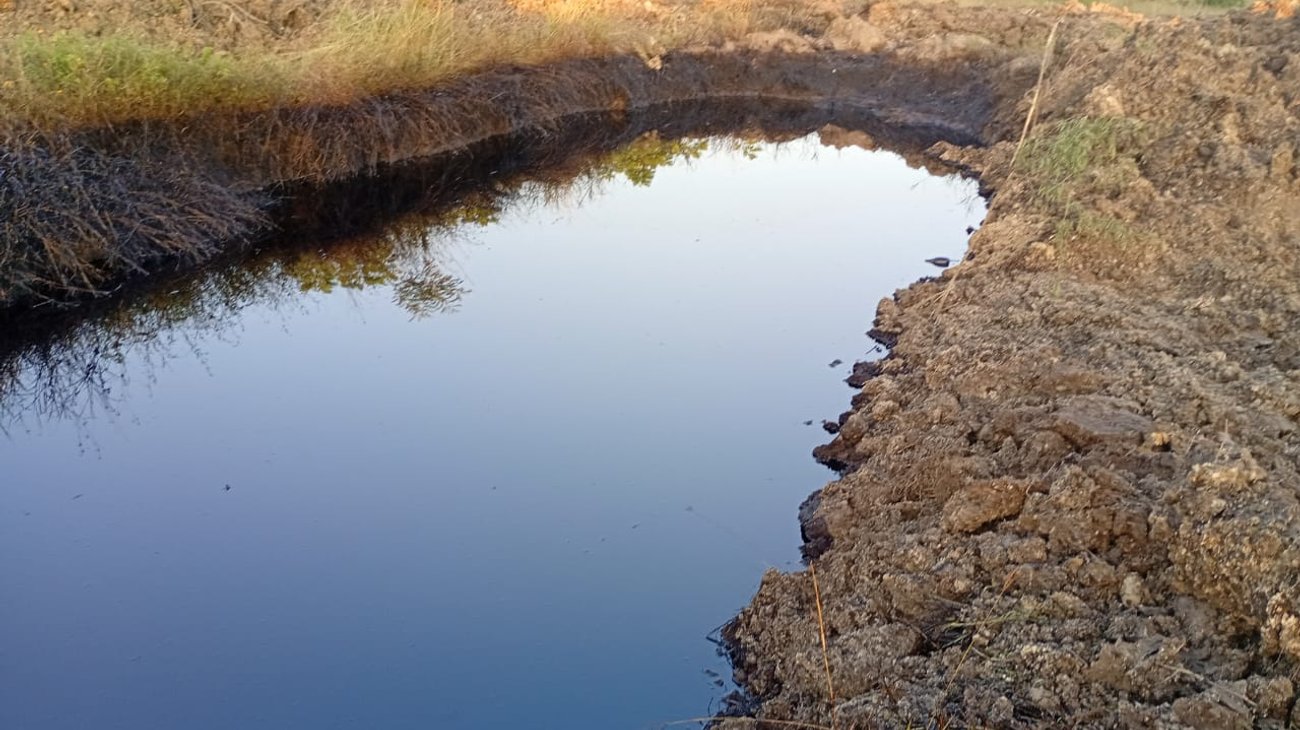 Campesinos de Altamira temen daño irreparable por derrame