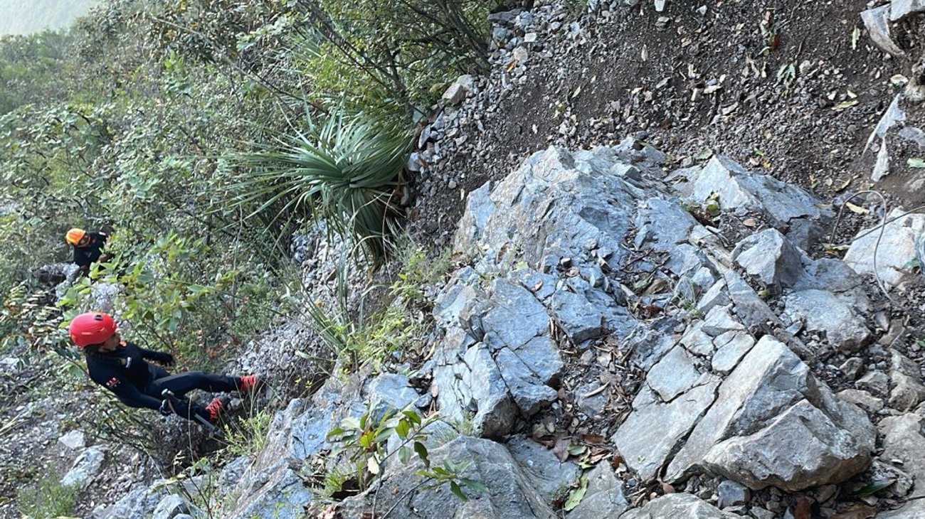 Whats_App_Image_2025_10_20_at_7_07_12_PM_72235fa763