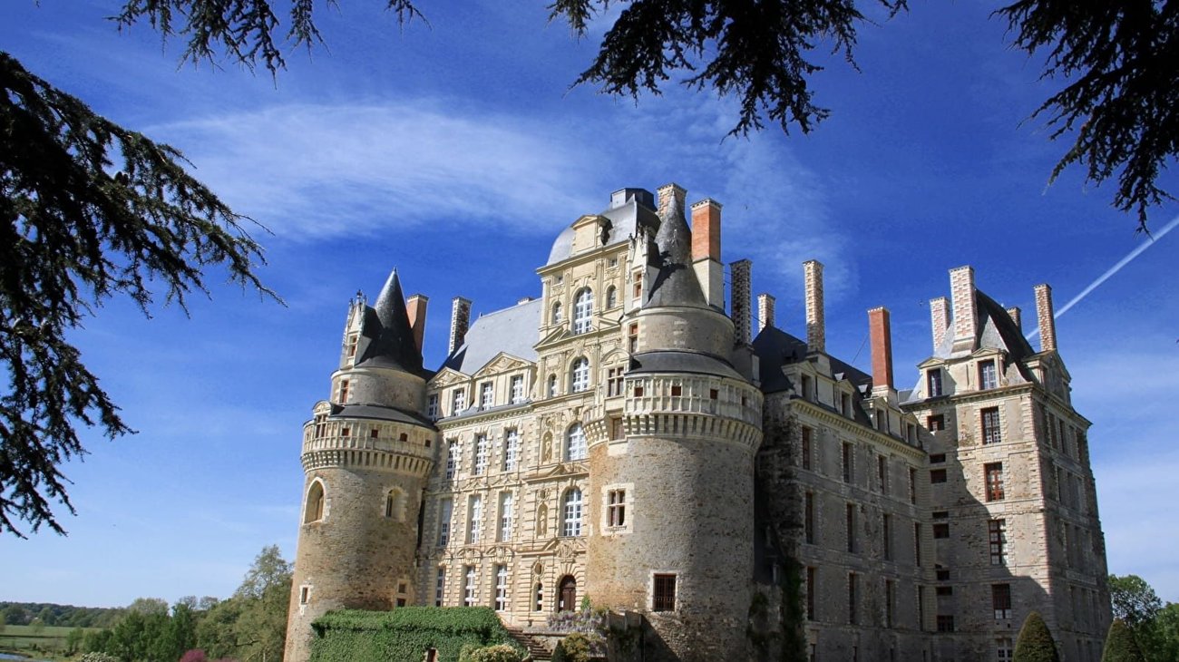 Whats_App_Image_2025_10_30_at_2_24_39_PM_1ae5e26f04