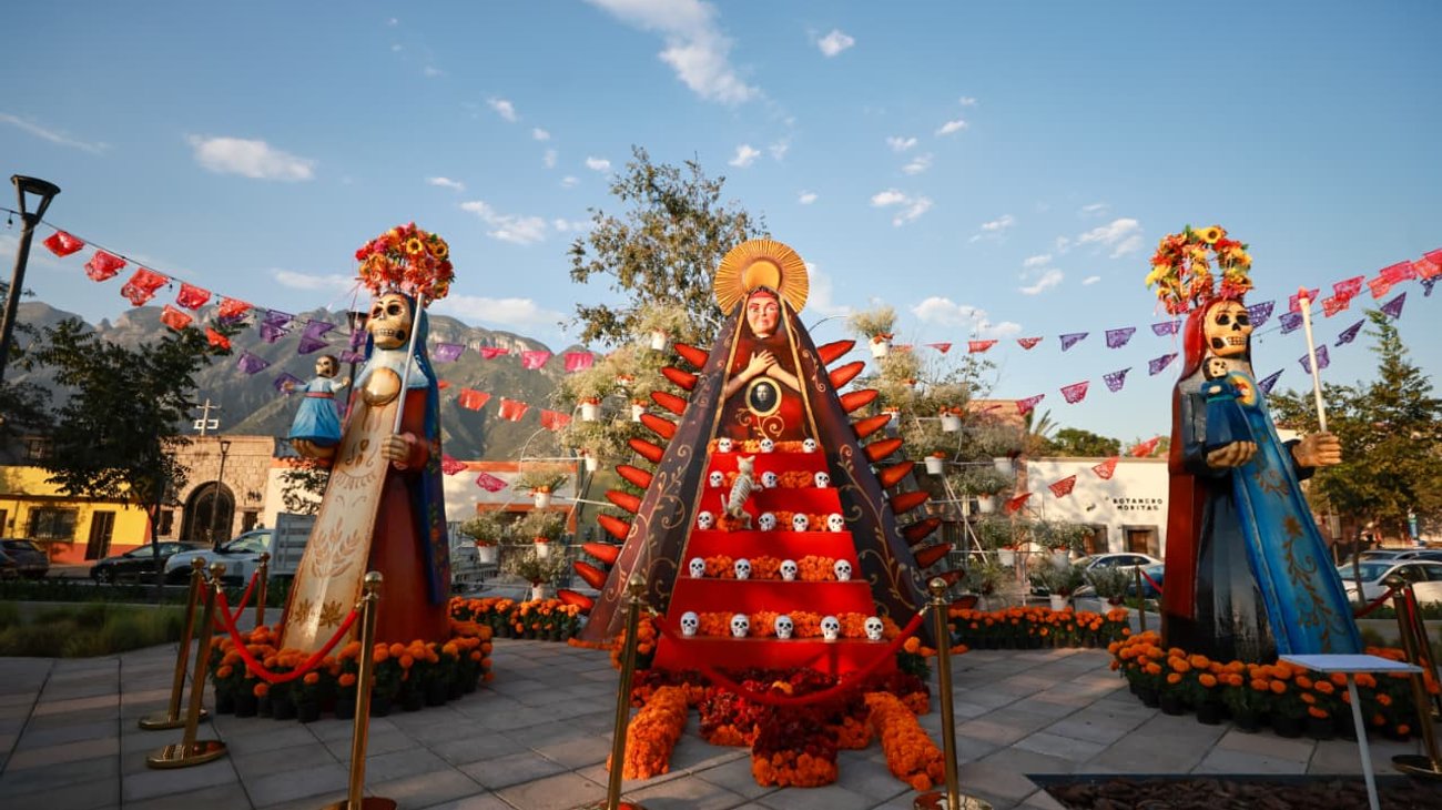 Whats_App_Image_2025_11_01_at_8_29_13_PM_66c2bdcf1c