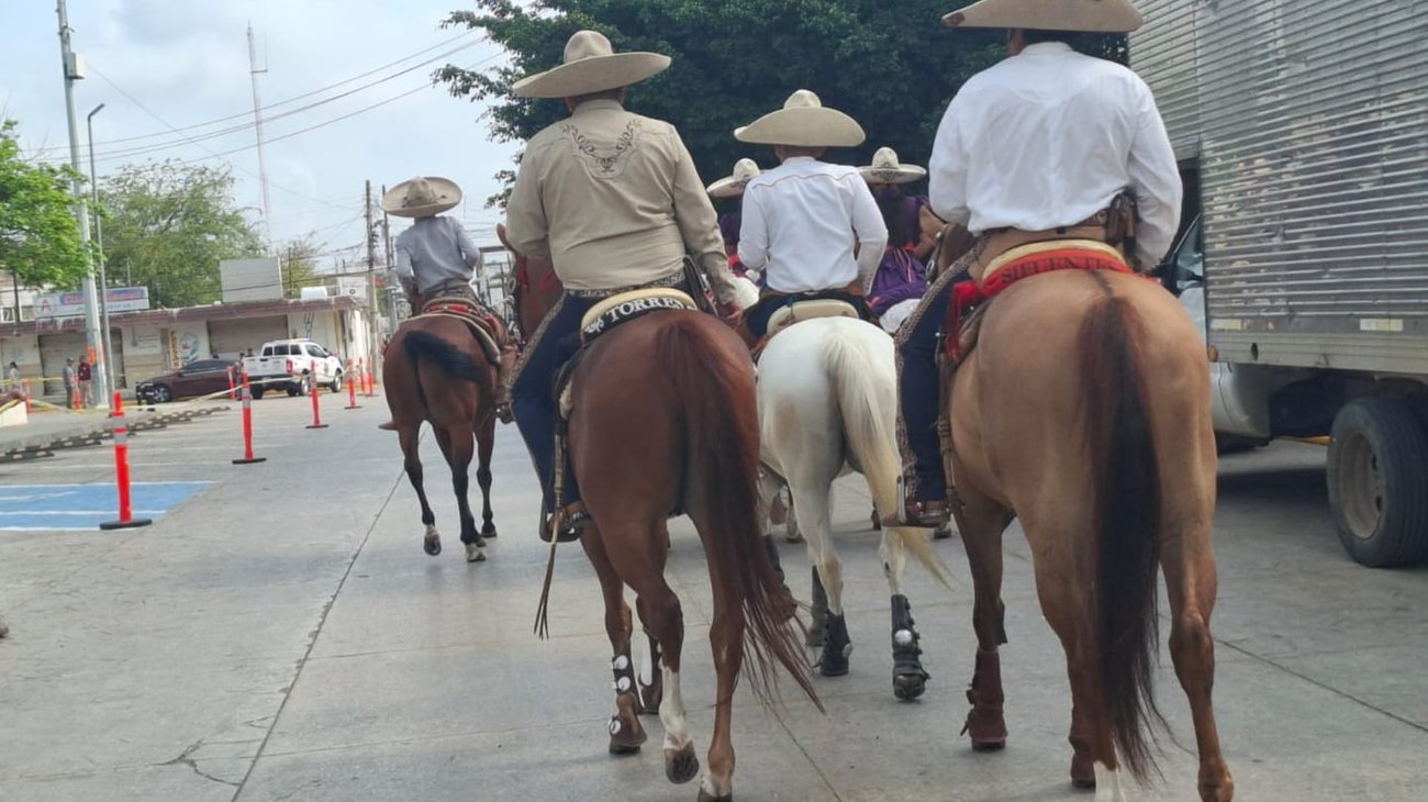 Altamira creará padrón de caballos para prevenir accidentes