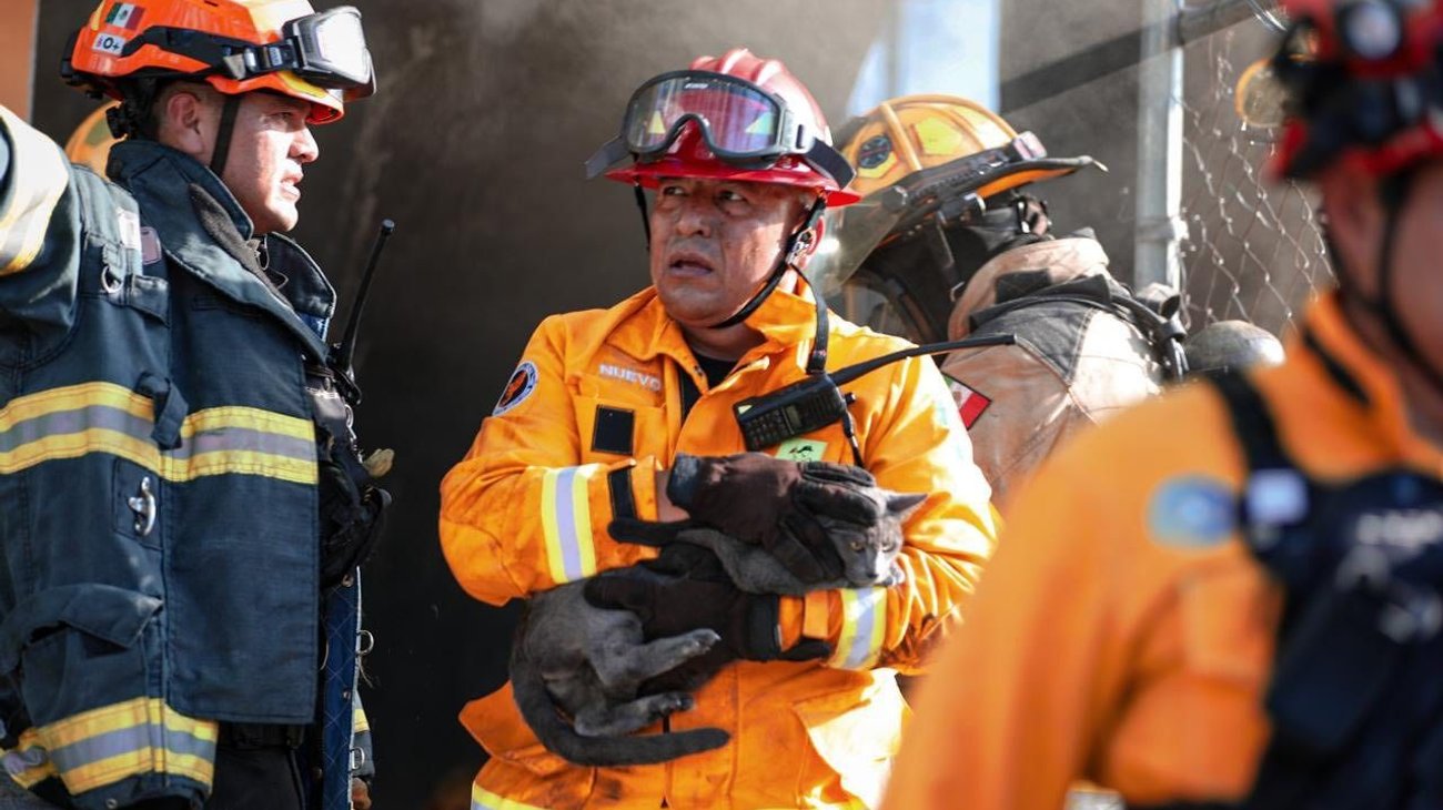 Whats_App_Image_2025_11_13_at_10_46_28_PM_f64c5dc3a3