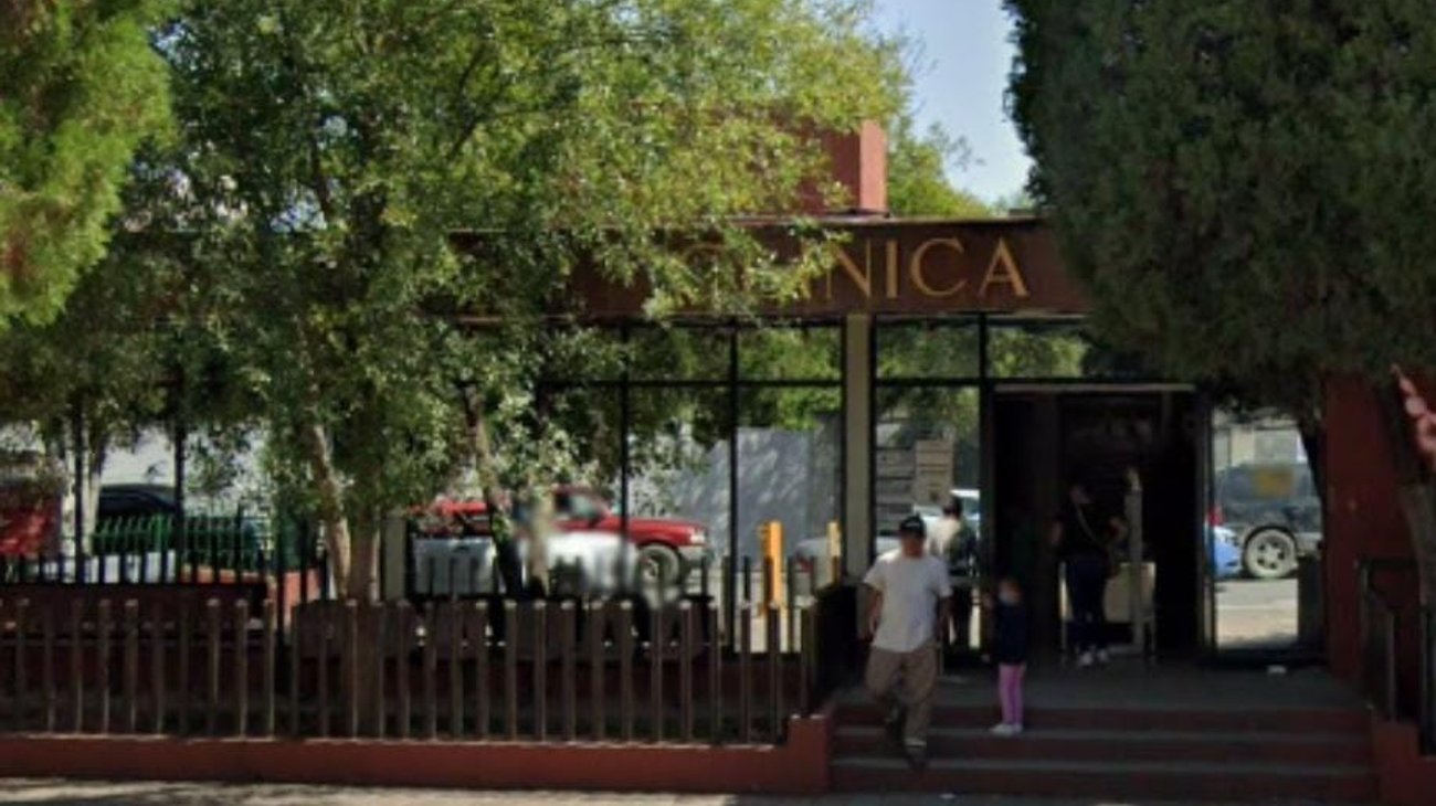 Mujer muere tras ser mordida por una araña en Allende