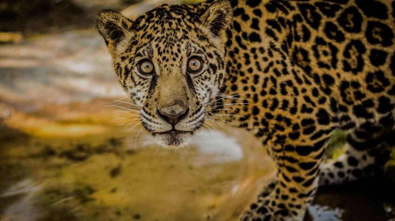 Whats_App_Image_2025_11_28_at_1_29_52_PM_5c5b017c49