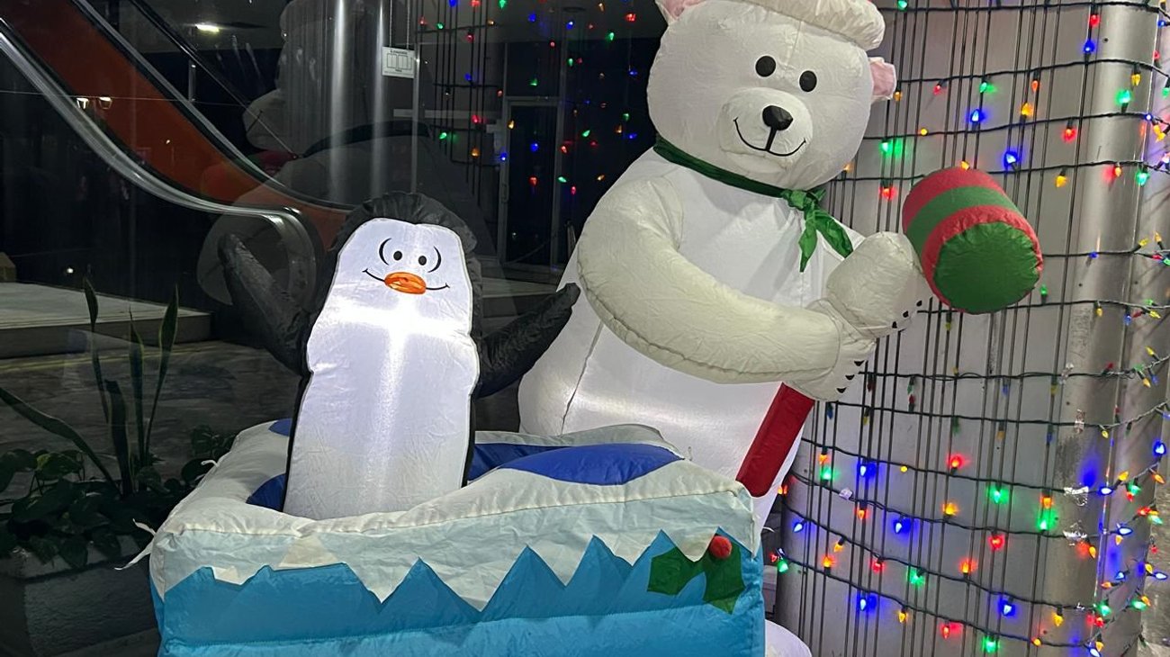 Whats_App_Image_2025_11_29_at_8_26_43_PM_2c4d8420df