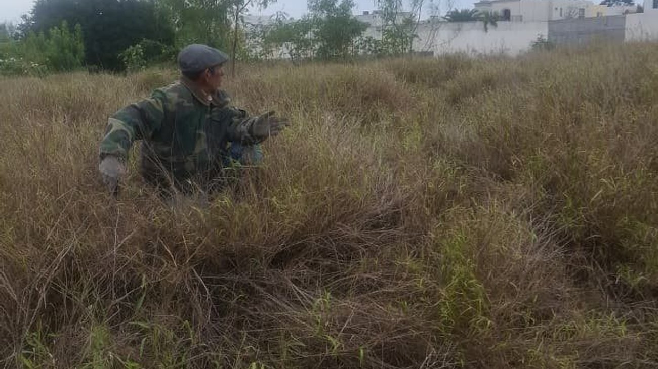 Colectivo realiza búsqueda de restos humanos en Tamaulipas