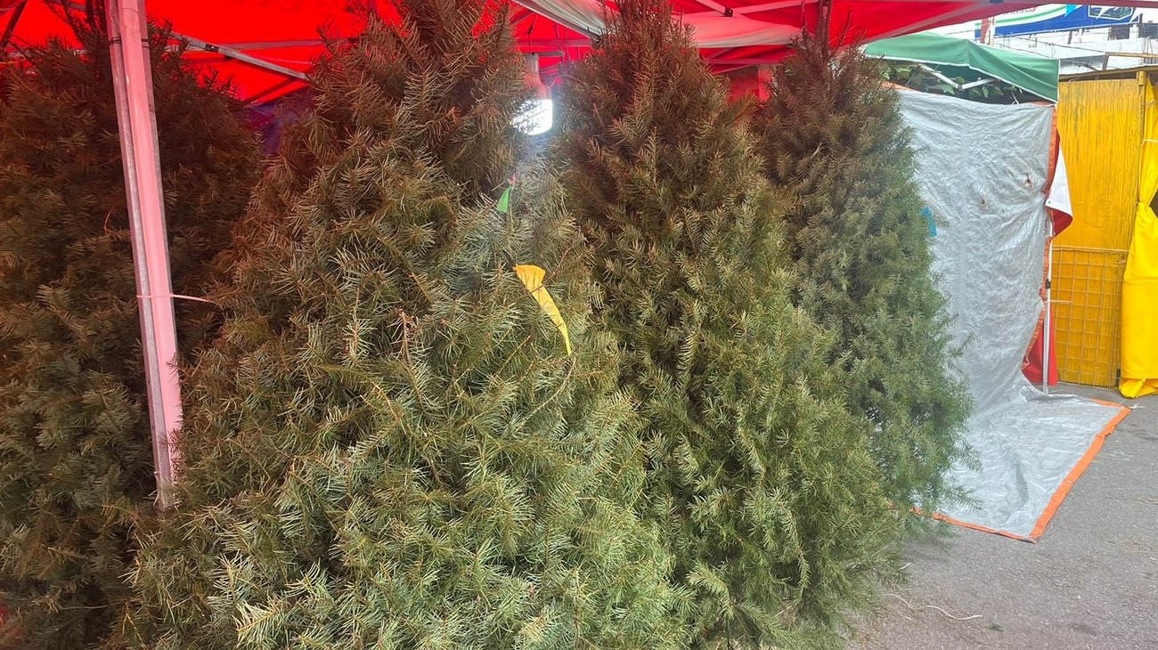 Esperan comerciantes buenas ventas durante la temporada navideña