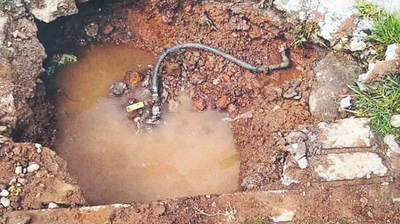 Whats_App_Image_2025_12_04_at_1_25_44_AM_3f7c1fa76e