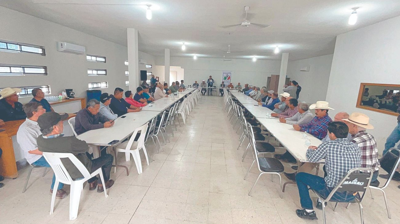 Whats_App_Image_2025_12_12_at_1_32_21_AM_77e7a79702