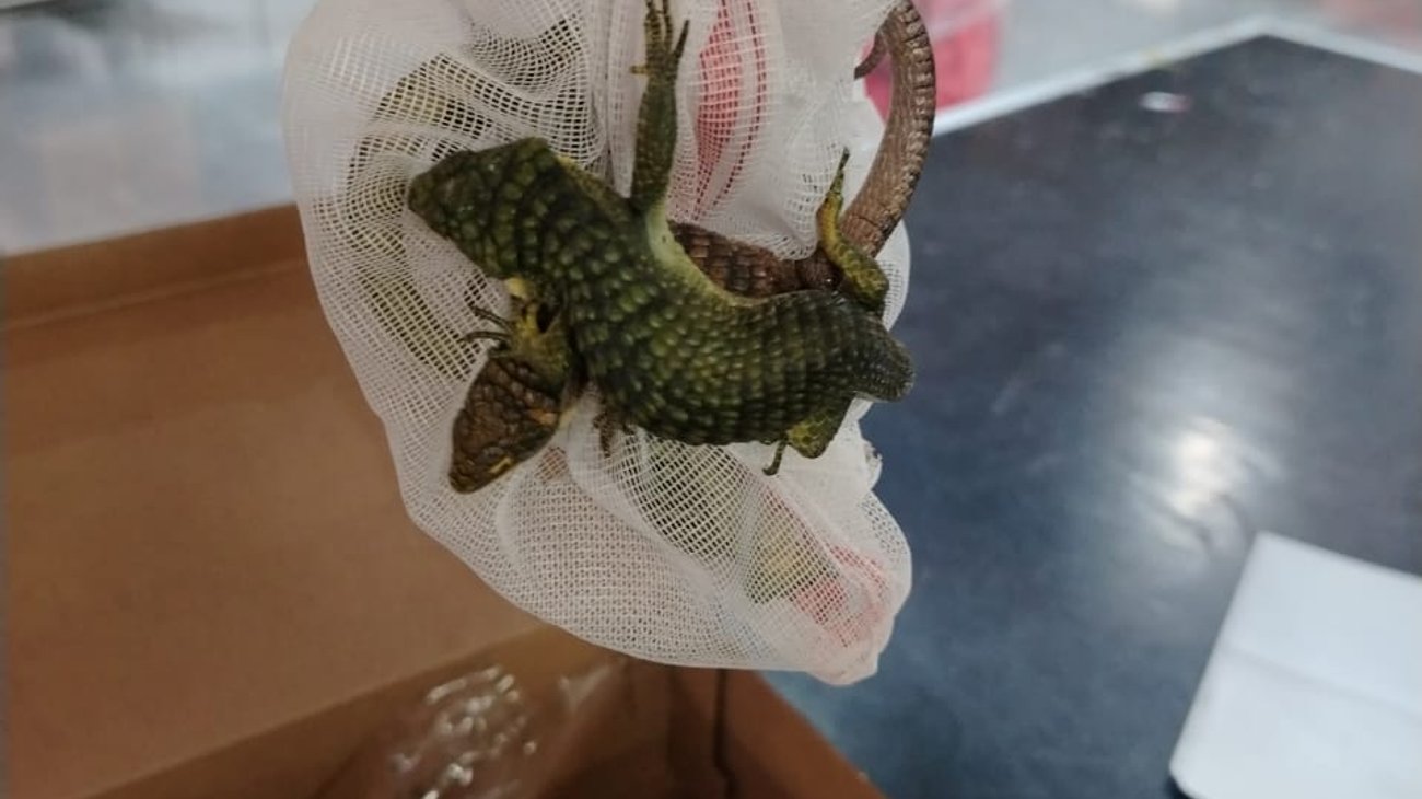 Whats_App_Image_2025_12_20_at_9_58_59_AM_1_0668736dd2