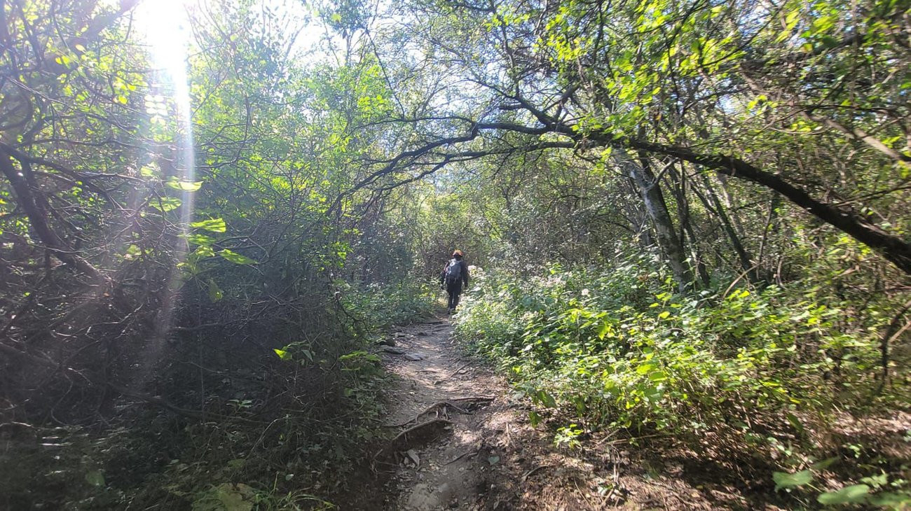 Whats_App_Image_2025_12_21_at_5_49_32_PM_13191253fd