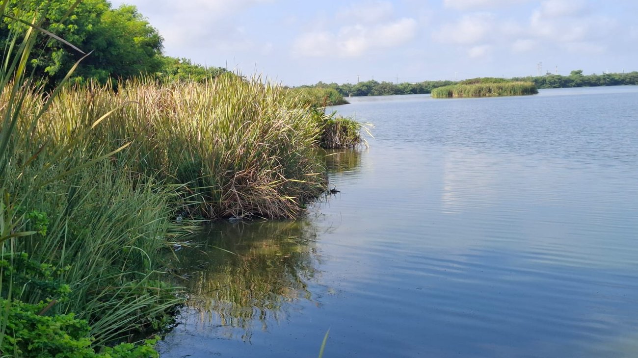 Whats_App_Image_2025_12_28_at_5_06_31_PM_8140149620