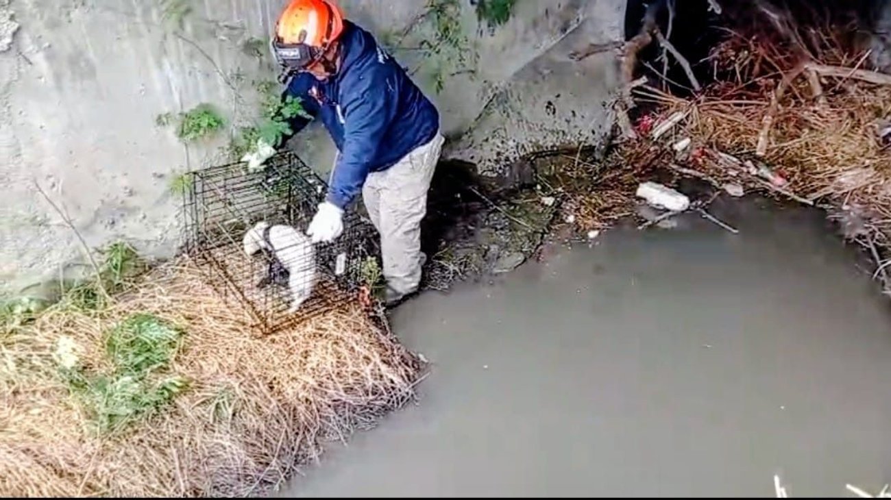 Whats_App_Image_2025_12_29_at_3_12_52_PM_63bb89ee27