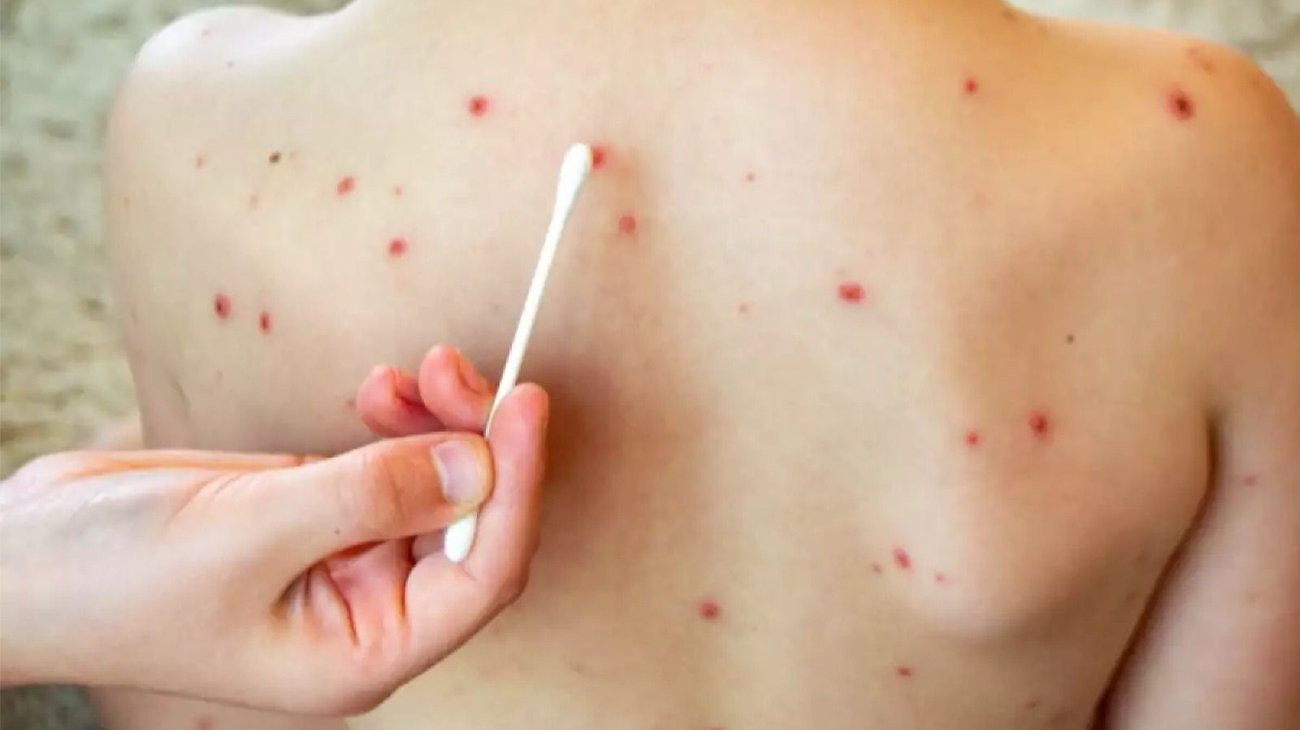 Whats_App_Image_2026_01_05_at_10_42_55_PM_881450ecc2