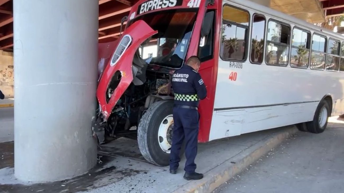 Whats_App_Image_2026_01_05_at_4_46_05_PM_c4d1284ed2