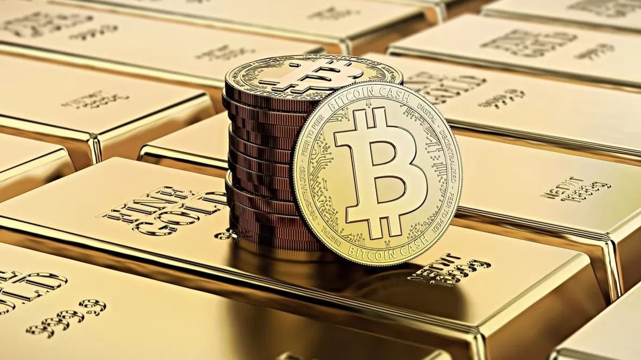 Whats_App_Image_2026_01_11_at_11_04_01_PM_66cc573de9