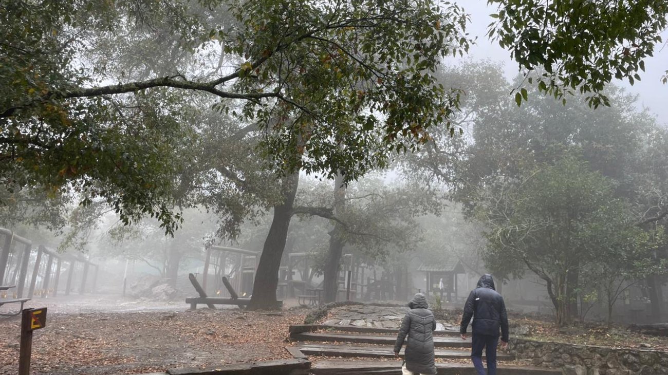 Whats_App_Image_2026_01_11_at_1_56_03_PM_85e9ab9512