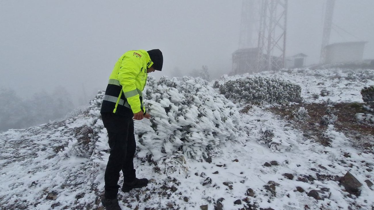 Cerro del Potosí blanco; reportan más caída de nieve en Galeana
