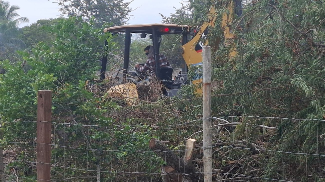 Invasión de predios en Altamira; denuncian despojo en El Repecho