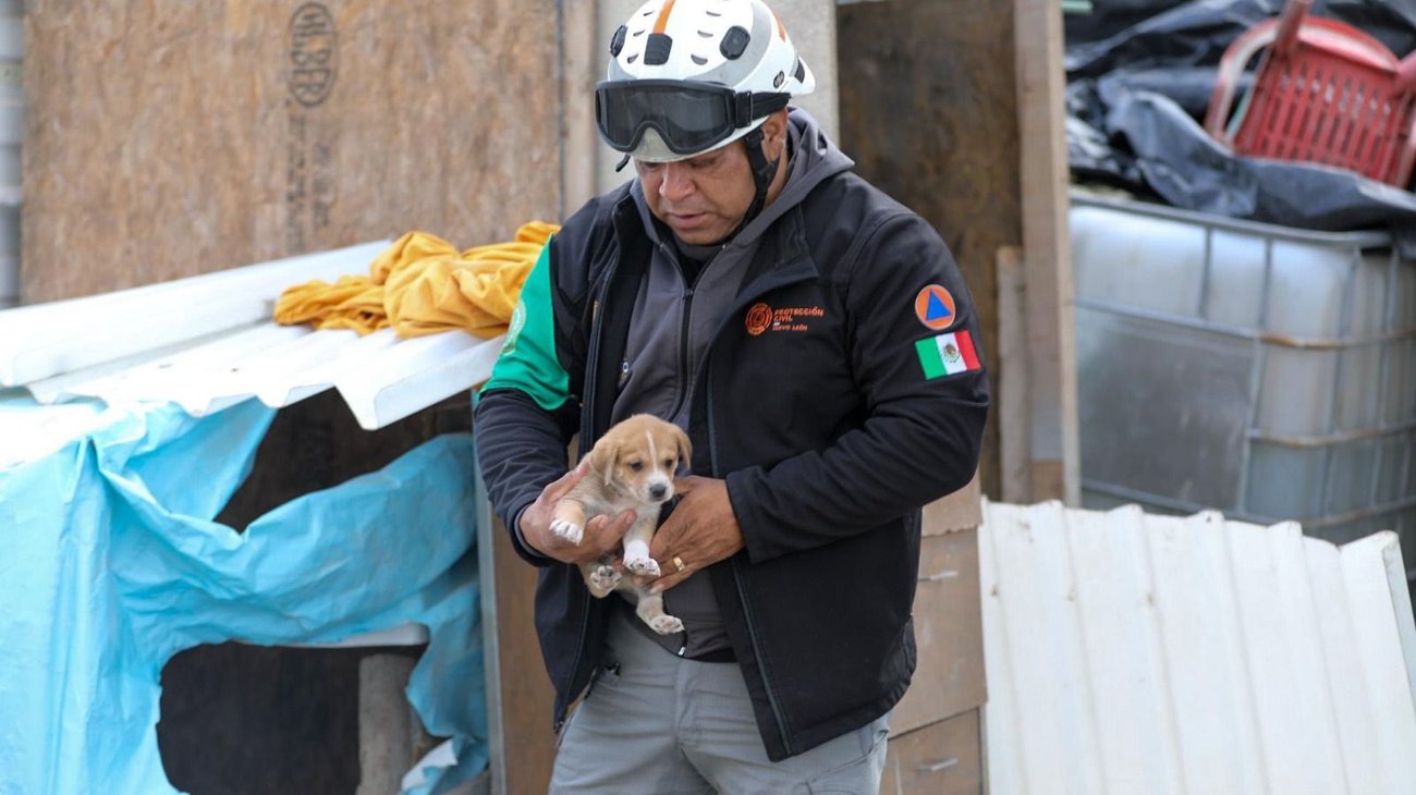 Adoptan elementos de PCNL a perritos rescatados en Apodaca