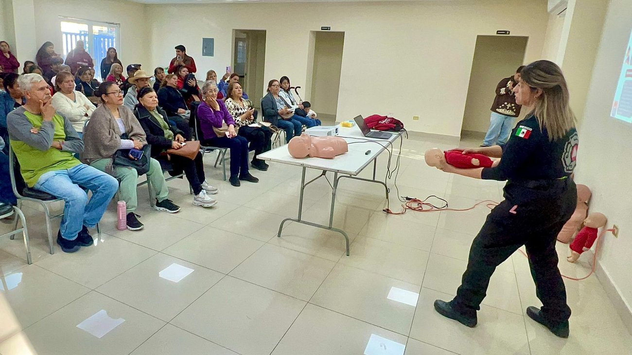 Whats_App_Image_2026_01_17_at_12_29_40_PM_e21dd1833e