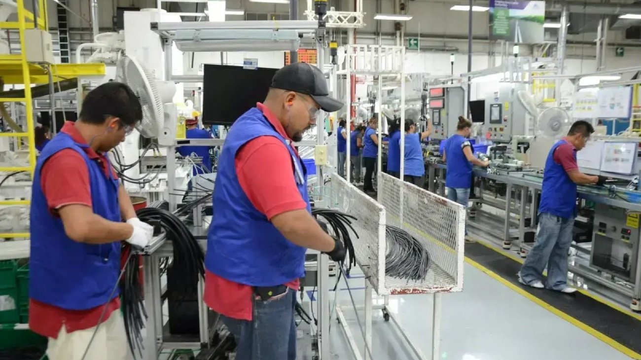 Whats_App_Image_2026_01_19_at_1_17_31_AM_f2fc80cd1a