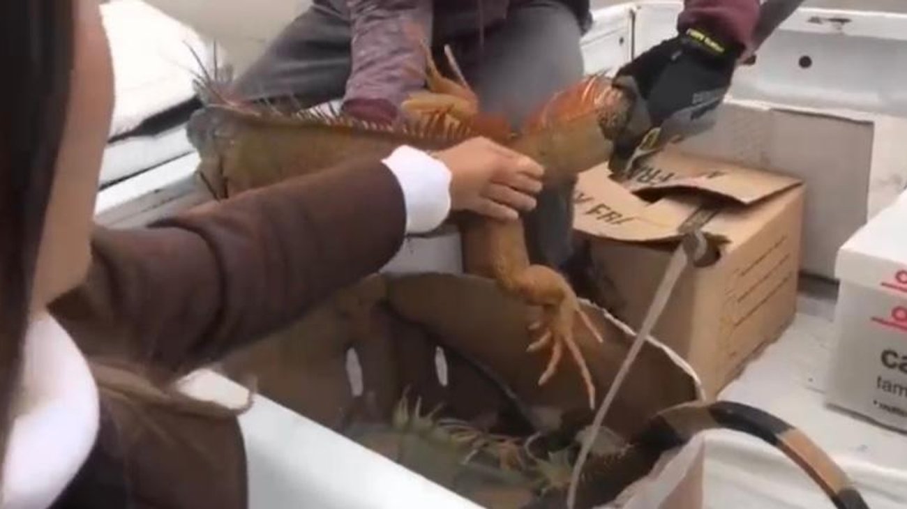 Whats_App_Image_2026_01_26_at_8_10_07_PM_48b41b7fbc