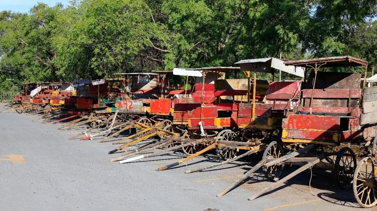 Whats_App_Image_2026_01_26_at_9_35_31_PM_9d615b6b8a