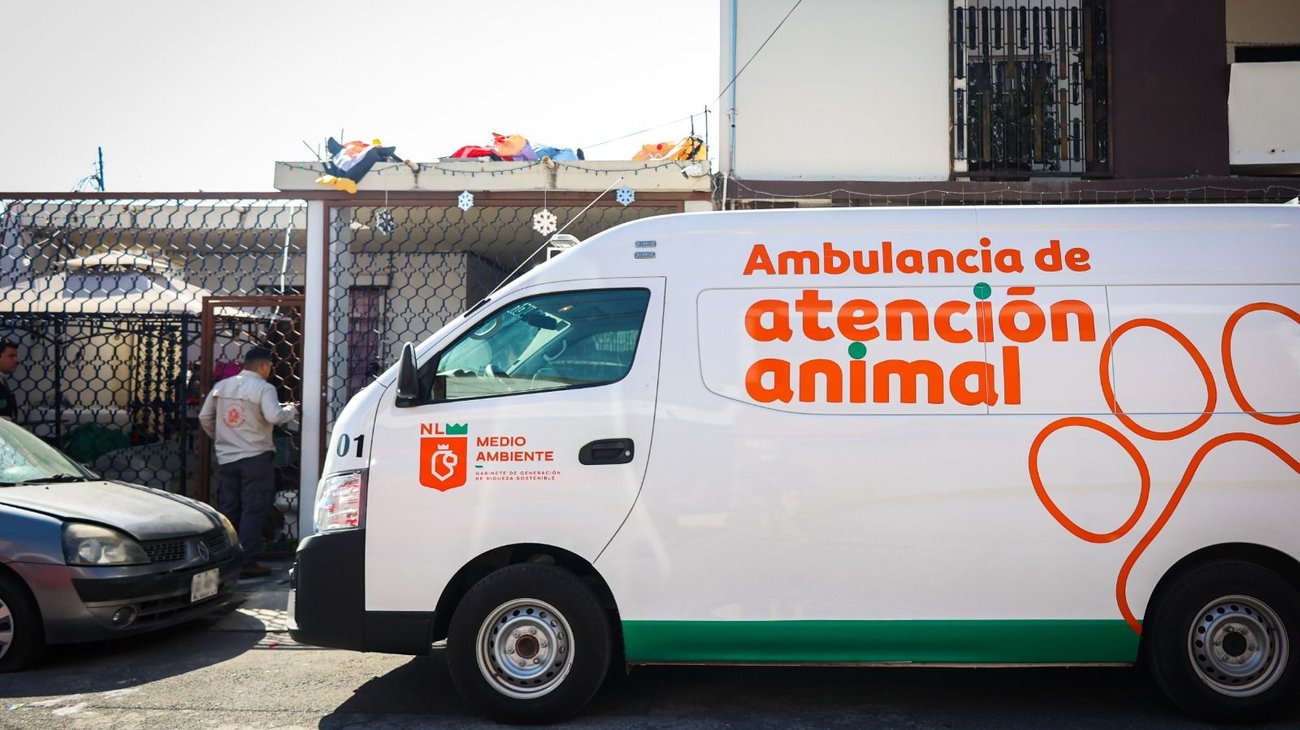 Despliega División Ambiental operativo de protección animal 