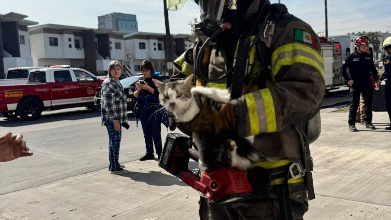 Whats_App_Image_2026_01_28_at_5_32_03_PM_eabbec59bc