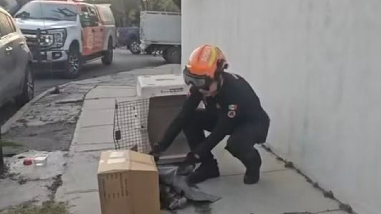 Whats_App_Image_2026_01_29_at_8_04_10_PM_78f8536c51