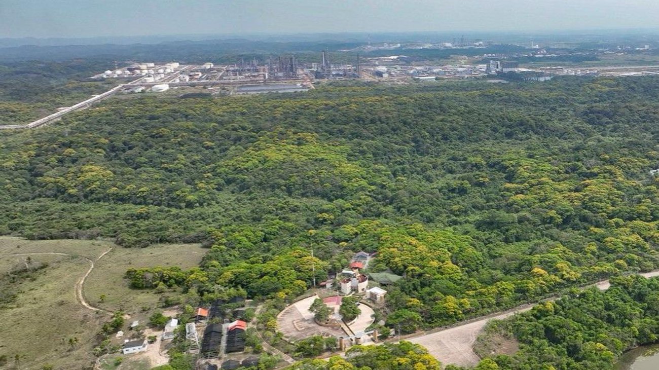 Pemex protege más de 2 mil hectáreas de biodiversidad en Veracruz