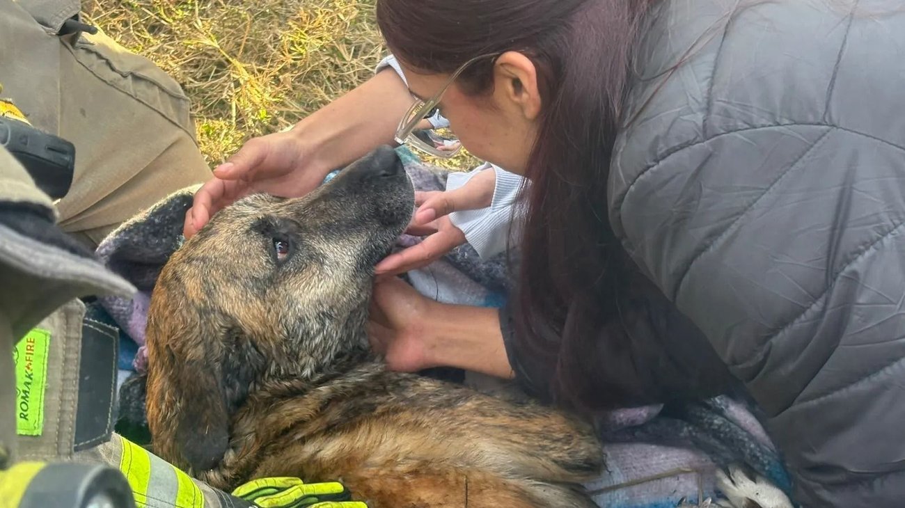 Whats_App_Image_2026_02_01_at_8_42_13_PM_3b4d7e7ff1