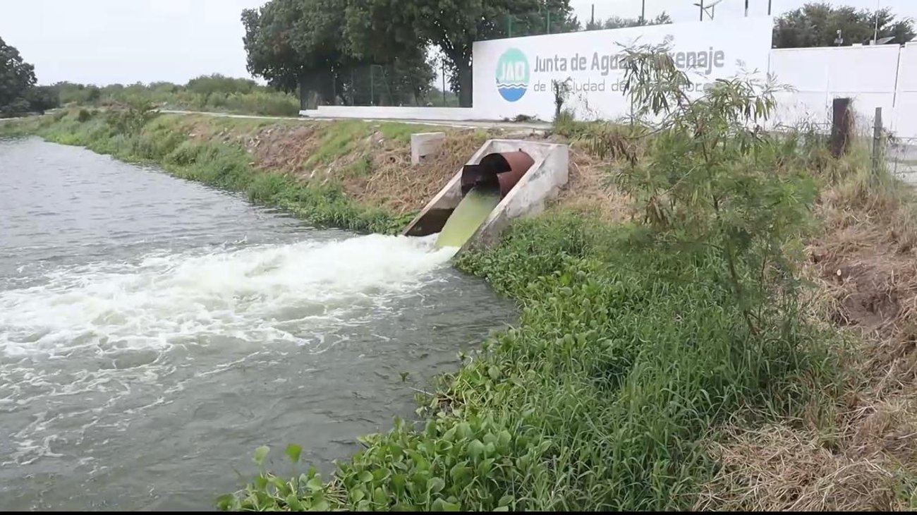 Whats_App_Image_2026_02_03_at_6_07_20_PM_1f42dd8a19