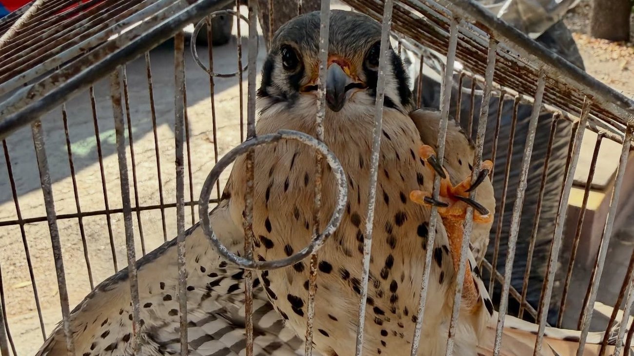 Whats_App_Image_2026_02_04_at_6_52_11_PM_e9e4be17a4