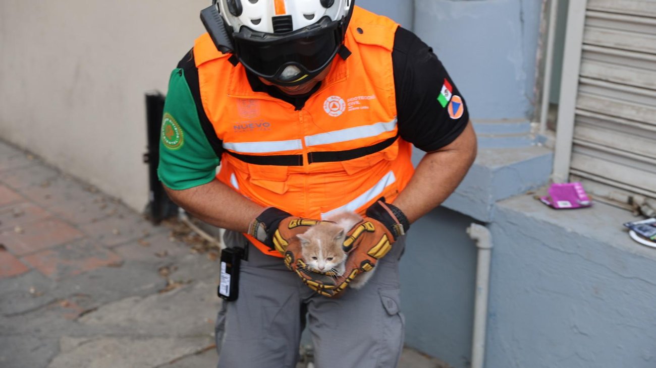 Whats_App_Image_2026_02_05_at_2_08_30_PM_1a97d943a3